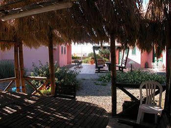 Casa Vacanze Perla Rosa Pantelleria Extérieur photo